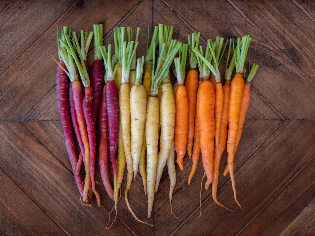 Varietà di carote