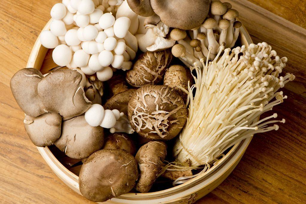 Le diverse varietà di funghi