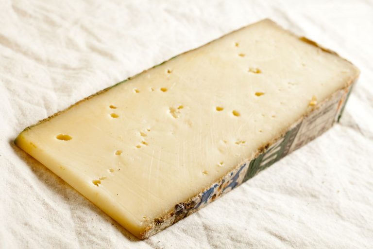 Fontina