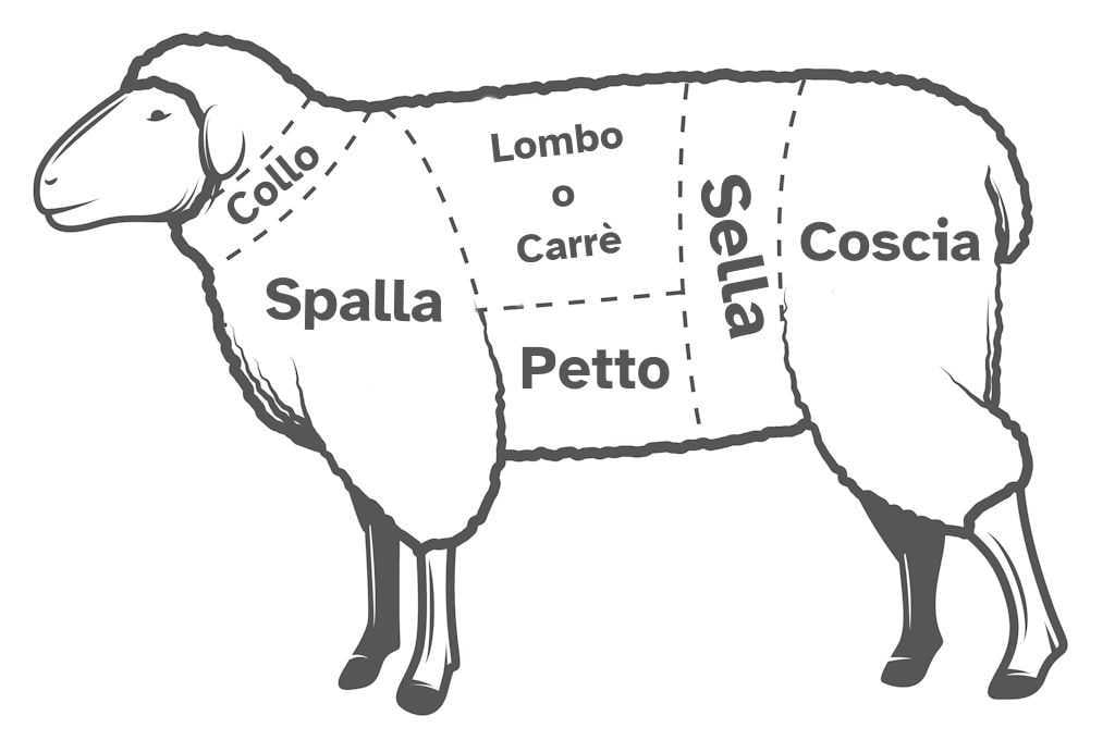 I tagli di carne dell'agnello