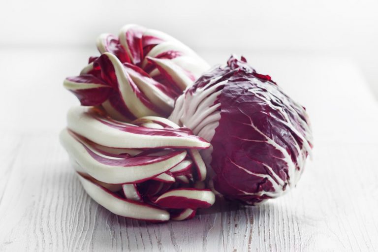 radicchio
