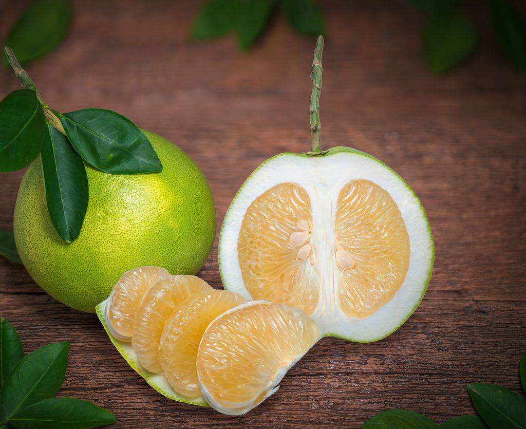 Pomelo