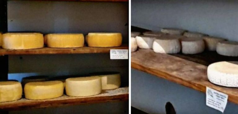 Richiamata la formaggella a latte crudo della ditta Chiarelli Pierluigi per listeria