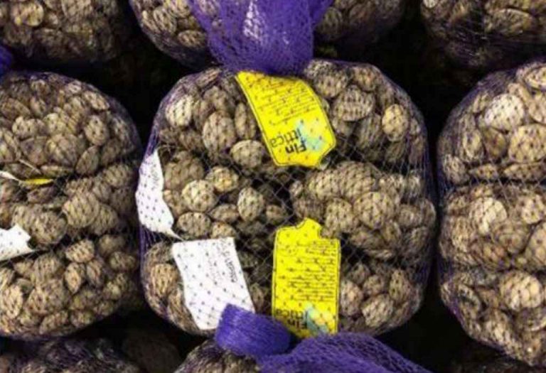 Carrefour richiama vongole lupini (Chamalea Gallina) per Escherichia coli