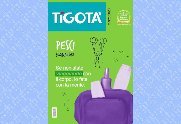 Volantino Tigotà Marzo 2023