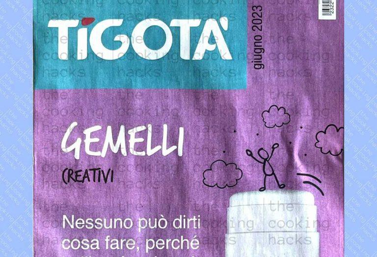 Volantino Tigotà Giugno 2023