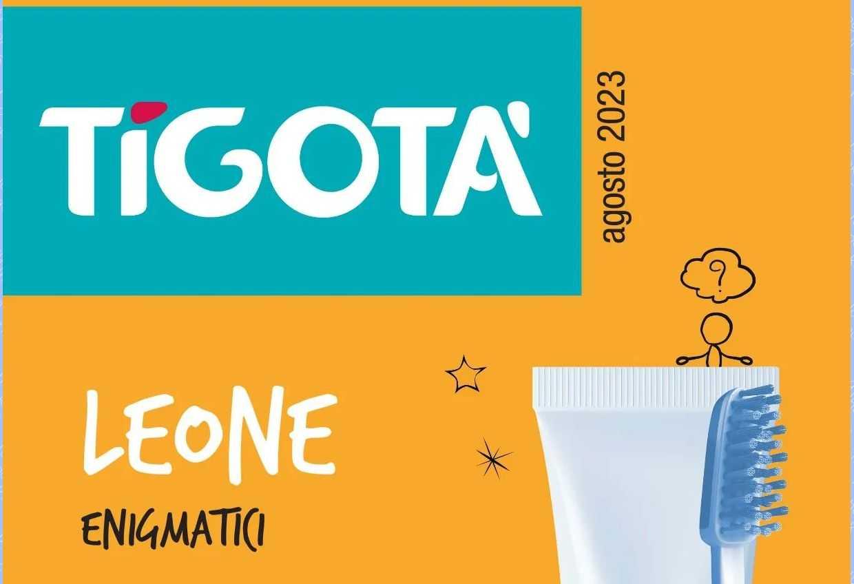 Volantino Tigotà Agosto 2023