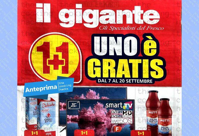 Volantino Il Gigante dal 7 al 20 settembre 2023