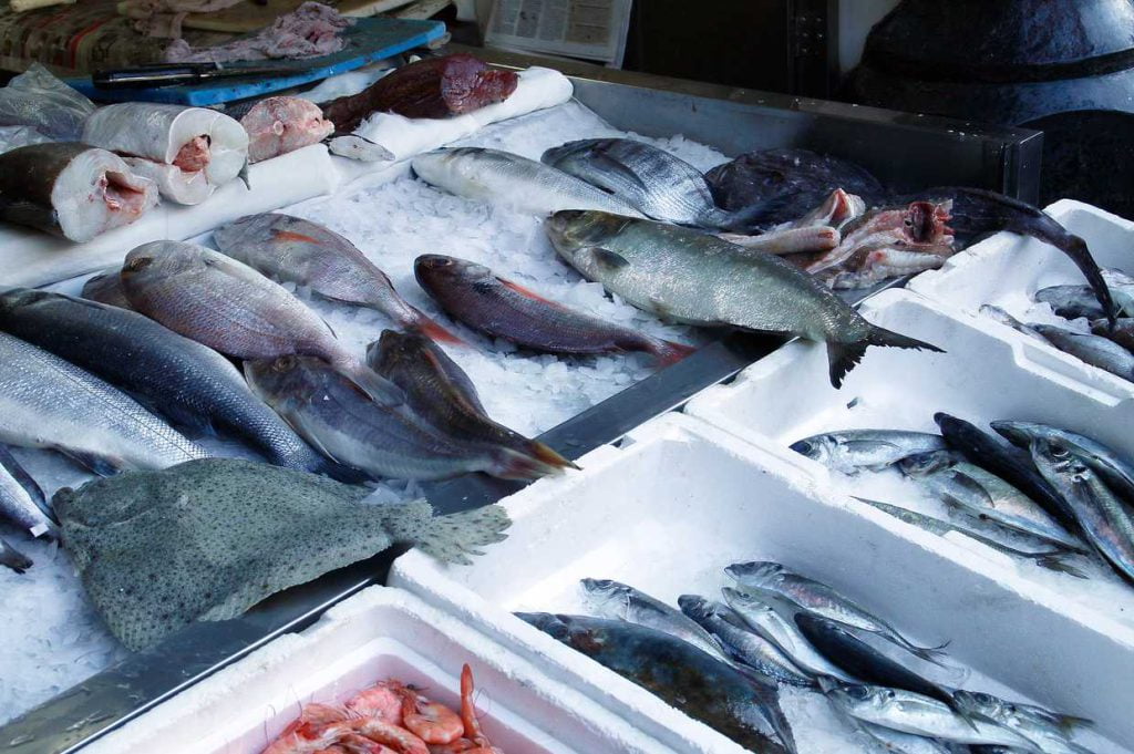 Avvelenamento da ciguatera nel pesce, dal Ministero della Salute l'opuscolo su sintomi e prevenzione