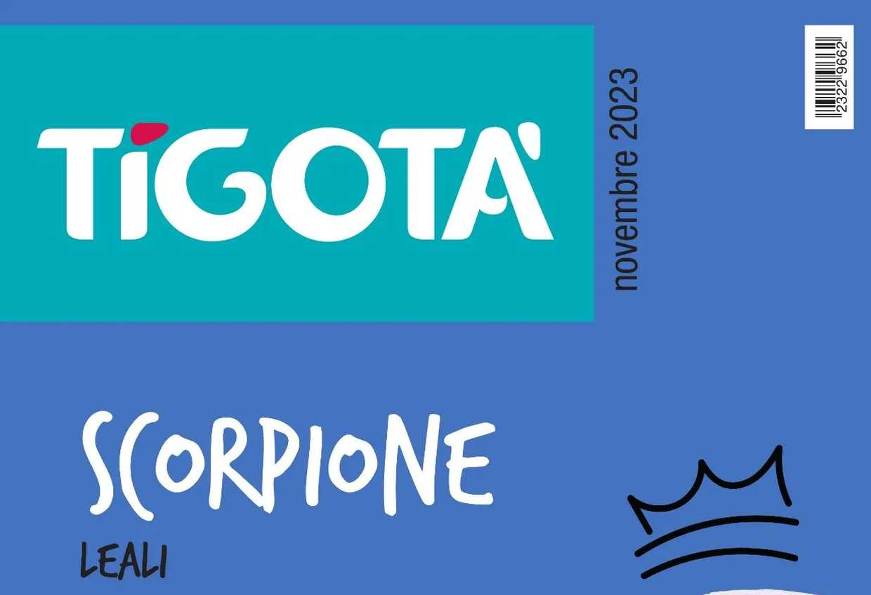 Volantino Tigotà novembre 2023