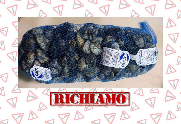 Richiamo Alimentare del Ministero della Salute per vongole veraci a causa di un rischio microbiologico