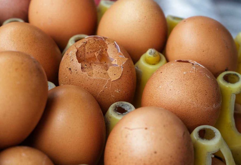 Contaminazione delle uova e sicurezza alimentare: guida alla prevenzione