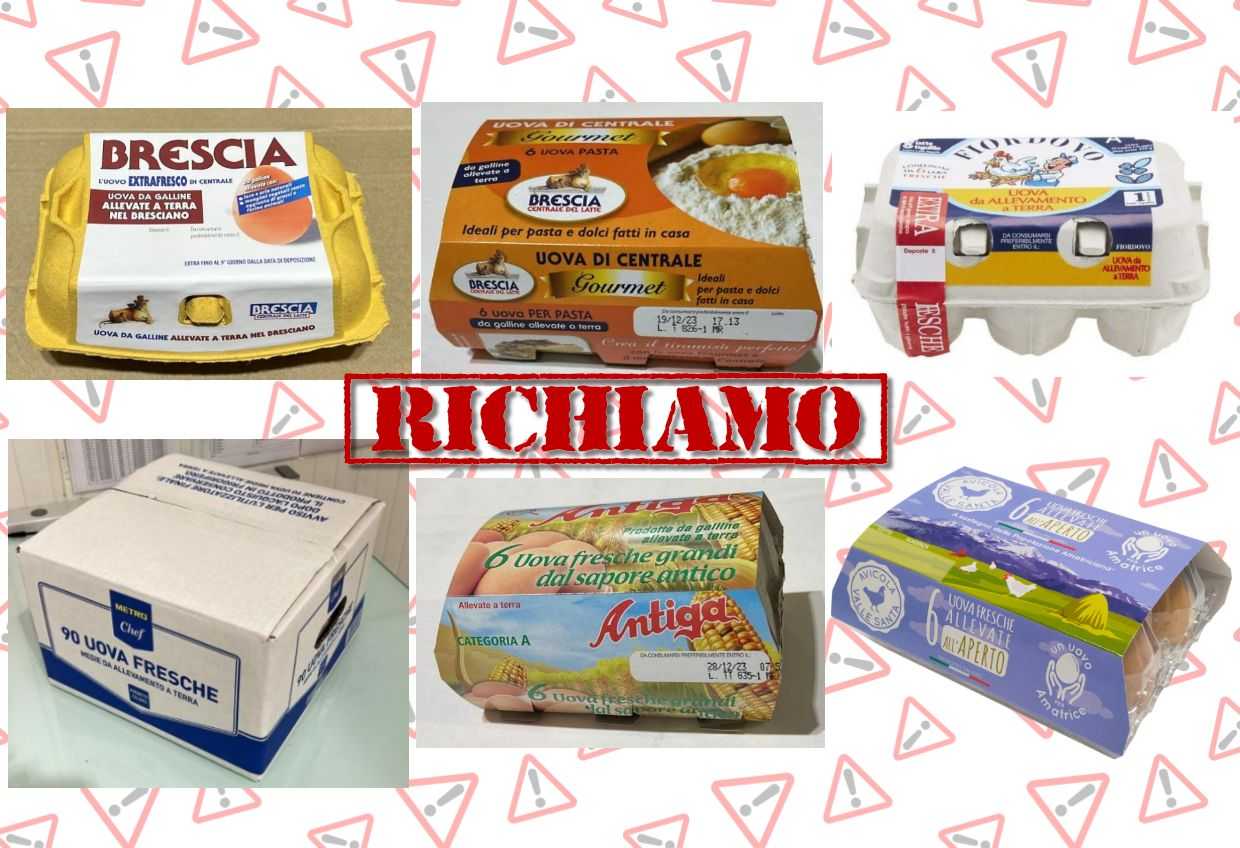 Ministero della Salute richiama nuovi lotti di uova: il rischio microbiologico è la possibile presenza di Salmonella