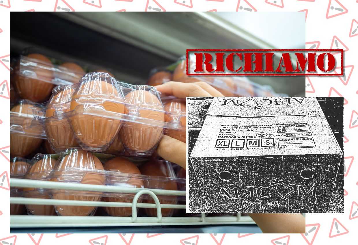 Richiamo di diversi lotti di uova per rischio microbiologico: presenza di Salmonella Typhimurium