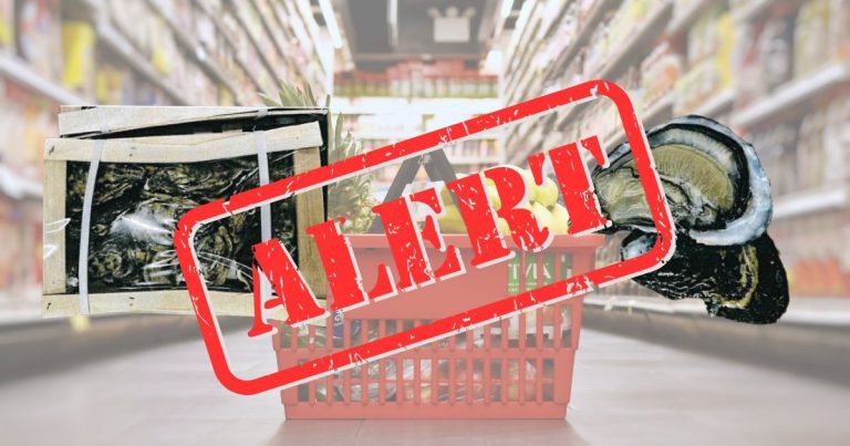 Ostriche a rischio Norovirus: il Ministero della Salute richiama un lotto di Finittica