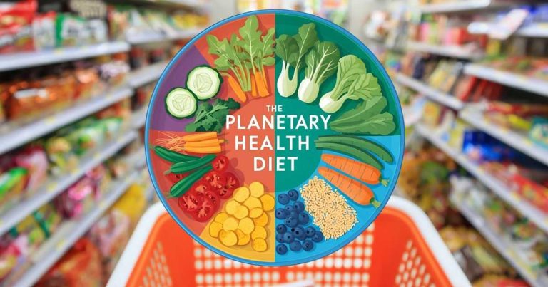 Cos’è la Planetary Health Diet? Il modo in cui scegli il cibo può salvare la tua salute e il pianeta
