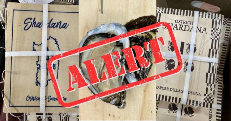 Allarme norovirus nelle ostriche: nuovi richiami dal Ministero della Salute