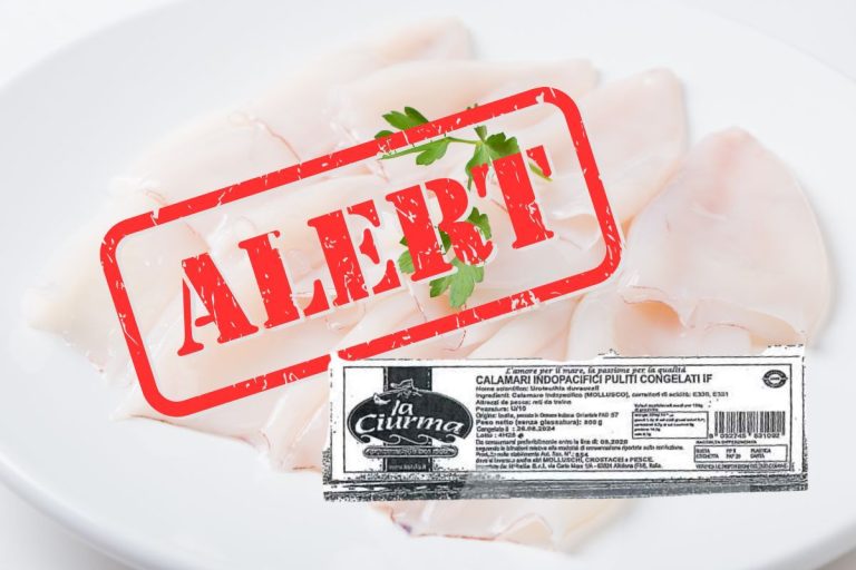 Richiamo calamari: rischio chimico per cadmio oltre i limiti di legge