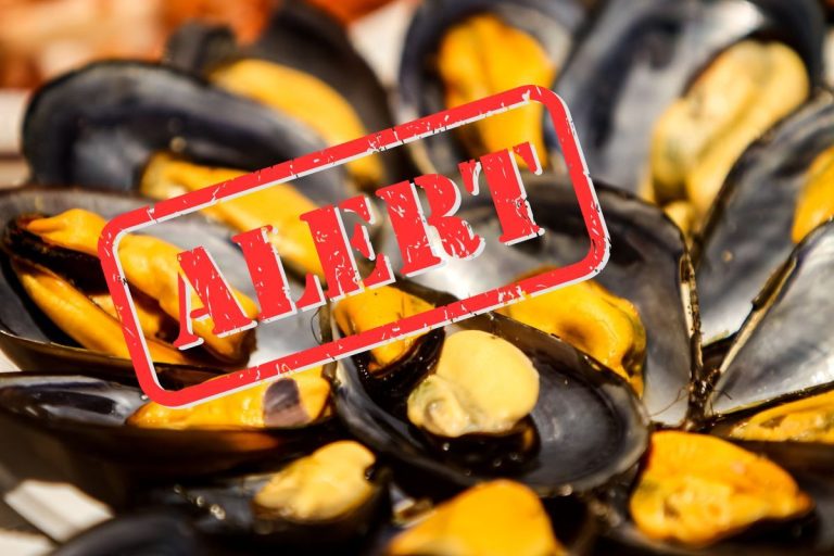 Richiamo cozze: rischio microbiologico per presenza di Vibrio parahaemolyticus